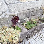 Casa Da Aldeia